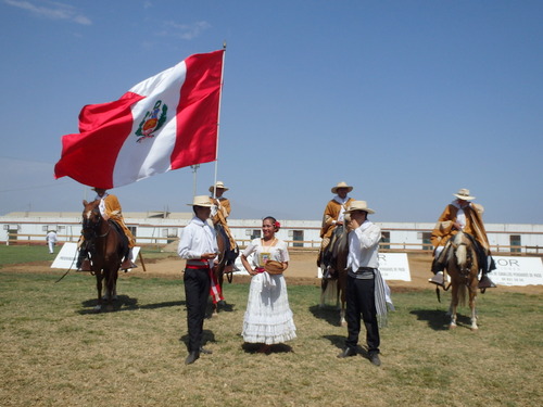 Peruvian Step Horse Show.